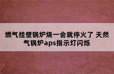 燃气挂壁锅炉烧一会就停火了 天然气锅炉aps指示灯闪烁